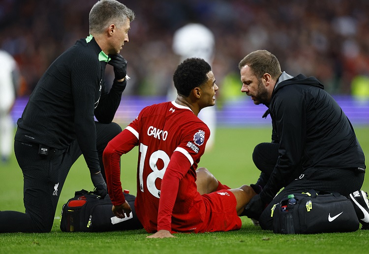 Cody Gakpo may be fit for Liverpool’s upcoming Europa League clash against Toulouse
