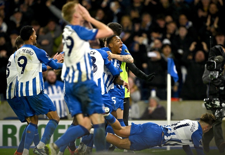 Brighton are ready to beat the Wolves at home in upcoming Premier League match
