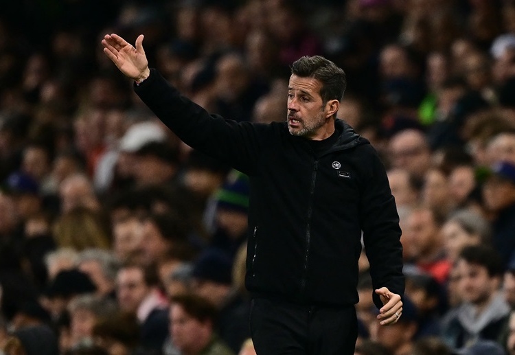 Fulham are ready to dominate at home and beat Wolves in their upcoming Premier League match